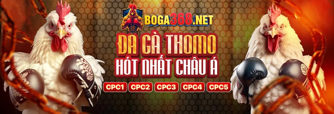 Cổng Đăng Nhập 365vn An Toàn